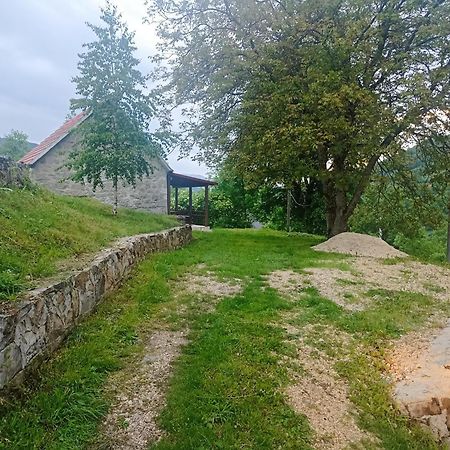 Kamena Kuca- Stone House Scepanovic Bijela Villa Savnik Luaran gambar